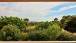 IMG_1706