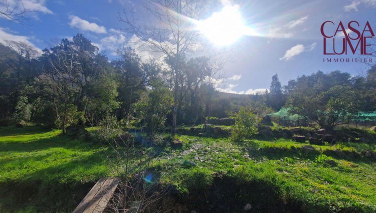 mini_20260220_111450